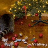 A Racoon Helps To Decorate The Christmas Tree Viralhog GIF - A Racoon Helps To Decorate The Christmas Tree Viralhog A Raccoon Lends A Hand Decorating The Christmas Tree GIFs