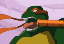 tmnt 2003 ninja turtles mikey michelangelo