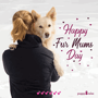 Puppytalesphotos Puppytales GIF - Puppytalesphotos Puppytales Photography GIFs