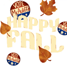 fall vote autumn voting democrat
