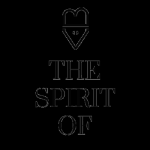 Espirito Bird Spirit Of GIF - Espirito Bird Spirit Spirit Of GIFs