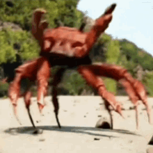 Crab Rave GIF - Crab Rave Crabrave GIFs
