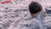 Swimming Out Of The Water GIF