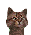 Cat Gravycatman Sticker - Cat Gravycatman Pet Stickers