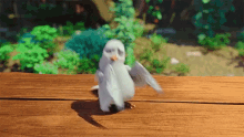 dove dancing the star the star gifs