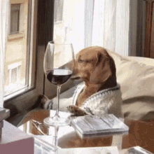 Dog Dog Wine GIF