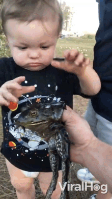 Touch The Frog Viralhog GIF - Touch The Frog Viralhog Baby GIFs