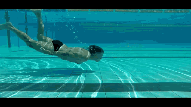 Dolphinswim Underwater GIF - Dolphinswim Underwater Pool GIFs