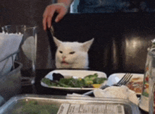 a white cat is sitting at a table with plates of food and a glass of water .
