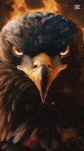 a close up of a bald eagle 's face with a fire background .
