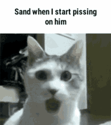 Sand Irony GIF - Sand Irony Pissing GIFs