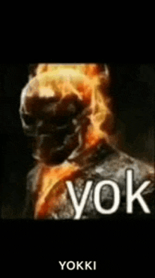 Yok Yok Ghost Rider GIF - Yok Yok Ghost Rider Yok Meme GIFs