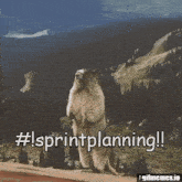 Sprint Planning GIF - Sprint Planning Sprintplanning GIFs