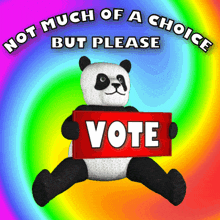 Please Vote Not Much Of A Choice GIF - Please Vote Not Much Of A Choice Panda GIFs
