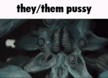 They Them Pussy GIF