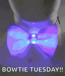 Happy Bow Tie Day National Bowtie Day GIF - Happy Bow Tie Day National Bowtie Day Blink GIFs