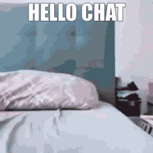 Hello Chat Cat Cat Fall GIF - Hello Chat Cat Cat Fall GIFs