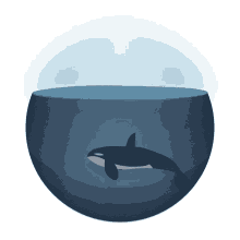 Orca Killer Whale GIF - Orca Killer Whale Whale GIFs