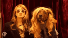 trashburgh plattsburgh dog wig kaitlyn donovan