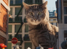 Look GIF - Ninjago Lego Cat GIFs