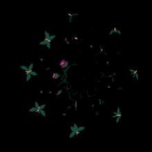 a circle of flowers and leaves on a dark background