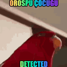 Orospu Red Bird GIF - Orospu Red Bird GIFs