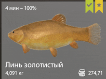 рыба рр4 GIF