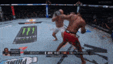 ufc fight pass shows a heavyweight bout between cortes acosta and spinac