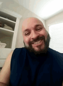 a bald man with a beard wearing a blue shirt smiles for the camera