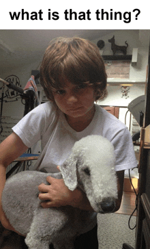 a young boy holding a small white dog with the words what is that thing behind him