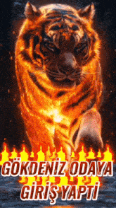 a poster with a tiger on it that says " gokdeniz odaya "