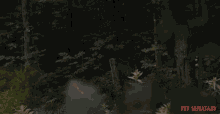 Procession Marching GIF - Procession Marching Walking GIFs
