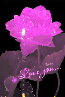Love You Pink GIF