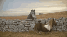 Pony Smile GIF - Pony Smile Wall GIFs