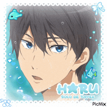 a picture of haru solo de toffee with a blue background