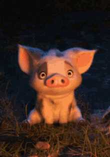 Why Piggy GIF - Why Piggy Confused GIFs