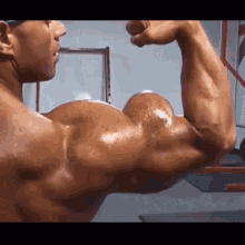 Muscle Huge GIF - Muscle Huge Bicep GIFs