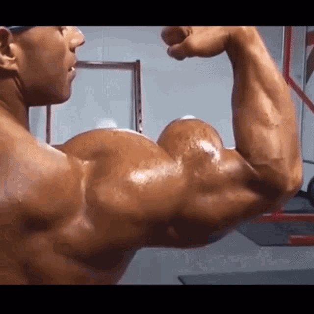Gym Biceps GIF - Gym Biceps Flexing - Discover & Share GIFs