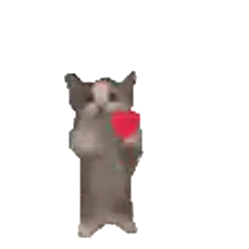Hamzeh Sad Cat Dance GIF - Hamzeh Sad Cat Dance - Discover & Share GIFs