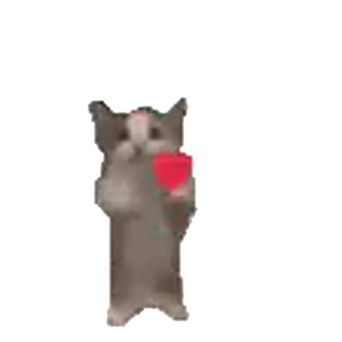 Hamzeh Sad Cat Dance Gif GIF - Hamzeh Sad Cat Dance Gif - Discover & Share  GIFs