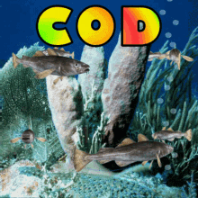 Cod Fish GIFs | Tenor