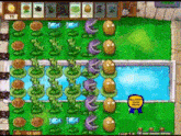 a plants vs zombies game is being played on a nintendo ds