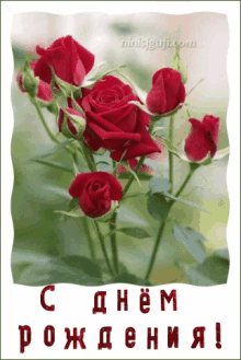 a greeting card with red roses and the words " с днем рождения " in red
