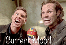 Current Mood GIF - Current Mood GIFs