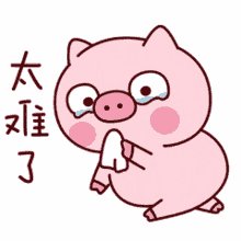 tkthao219 lengtoo piggy crying pig