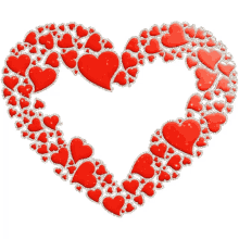 heart ninisjgufi