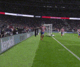 a soccer game is being played in a stadium sponsored by heineken beer
