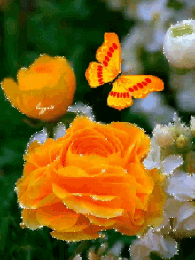 Butterfly Flower GIF - Butterfly Flower Glitter GIFs