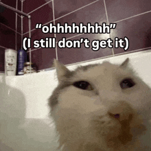 a cat in a bathtub with the caption " ohhhhhhh "