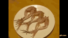 Frog Legs Moving GIF